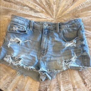 Apricot Lane Blue Jean Shorts Distressed Cut-Offs